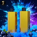 Alibarbar TEQ 12000 Puffs-Blueberry Blast