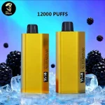 Alibarbar TEQ 12000 Puff Blackberry Ice