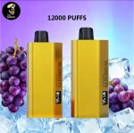 Alibarbar TEQ 12000 Puffs Grape Ice