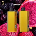 Alibarbar TEQ 12000 PuffBlackberry Dragon Fruit