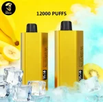 Alibarbar TEQ 12000 Puffs i
