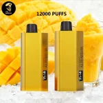 Alibarbar TEQ 12000 Puffs-Mango Magic