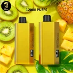 Alibarbar TEQ 12000 Puff Kiwi Pineapple